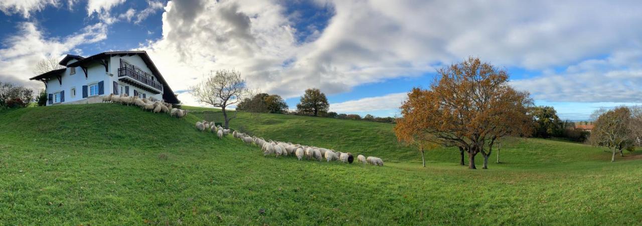 Amama Baita Urrugne Exteriér fotografie