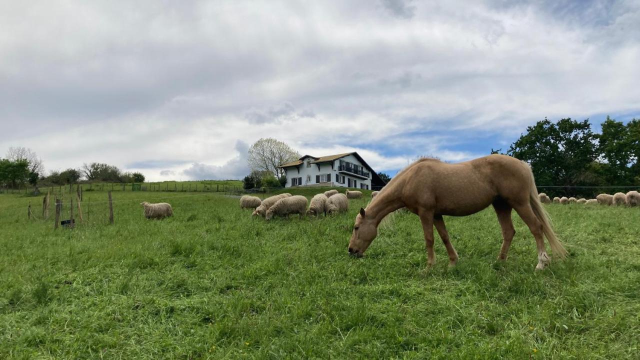 Amama Baita Urrugne Exteriér fotografie